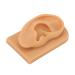 Ear Model Soft Silicone Right Ear Model Clear Structure Science Education Easy To Observe Flexible Waterproof for Display - Buy Online on GoSupps.com