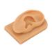 Silicone Ear Model Soft Flexible Waterproof Hearing Amplifier Display Accessories Simulation Ear Mould Acupuncture Model for Science Education
