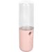 Face Nano Mist Sprayer 50ml Capacity USB Charging ABS Shell Handy Mist Sprayer for Home (Light Pink) - Buy Online on GoSupps.com
