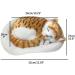 Bagima Sleeping Cat Toys | Breathing Plush Cat Dolls & Soft Mats | Perfect Home D cor & Kids' Gifts - Buy Online on GoSupps.com