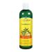 Organix South TheraNeem Naturals Scalp Therapé Conditioner 12 fl oz (360 ml)