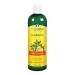 Organix South TheraNeem Naturals Scalp Therapé Conditioner 12 fl oz (360 ml)