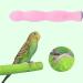 POPETPOP 20CM Bird Perch Parrot Stand Parakeet Natural Wood Rough Sand Perches Grinding Nail for Small Medium Large Birds African Grey Cockatoo Parakeet (Random Color) - Buy Online on GoSupps.com
