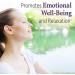 Garden of Life Dr. Formulated Probiotics Mood+ | Manages Digestive Health & Symptoms of Chronic Stress | 50 Billion CFU + 16 Probiotic Strains | Includes Organic Ashwagandha and Blueberries - Buy Online on GoSupps.com