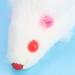 Cat Toys Mice 12Pcs Simple Pet Cat Toy Mouse Small Plush Mouse Mini Interactive Play Funny Cat Toy Fake Mouse for Kitten Cat - Buy Online on GoSupps.com