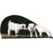 Cute Goat Baby Microfiber Hair Towel | Super Absorbent Wrap for All Hair Types | Quick Dry Coral Velvet Cap for Women - Buy Online on GoSupps.com