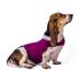 Zongha anti stress vest for dog panic dishes for dogs fear dog coat medical dog vest for anxious dog dog fear jacket rose-red m rose-red m