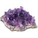 Crystal Rough Specimen Healed 100g Natural Raw Amethyst Quartz Purple Crystal Cluster Stones Specimen Home Crafts Decoration Ornament As a Gift (Color : Amethyst Cluster Size : 40-70g) 40-70g Amethyst Cluster - Buy Online on GoSupps.com