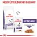 Royal Canin Vet Care Nutrition Dog Food Neutered Adult Small 1.5 Kg - Buy Online on GoSupps.com