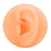 Ankroyu silicone-ear-elkupuncture exercise model reusable simulation ear model display props for teaching presentations (left ear)