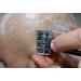 Precision Touch-Up Kit | Perfect Grooming Edger for Flawless Touch-Ups | International Shipping Available - Buy Online on GoSupps.com