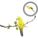 TOYANDONA Parrot Lifelike Vivid Ornament Figure Artificial Birds for Jungle Statue Garden Simulation Yellow 20x5cm Yellow - Buy Online on GoSupps.com