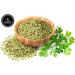 Naturevibe Botanicals Parsley Flakes 3.53oz (100g) - Petroselinum crispum var. neapolitanum - Buy Online on GoSupps.com