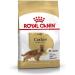Royal Canin Dog Food Cocker Spaniel 12 Kg - Buy Online on GoSupps.com