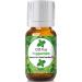 Diffuse Essential Oils 10ml - Peppermint Essential Oil - 0.33 Fluid Ounces Peppermint 0.33 Fl Oz (Pack of 1)