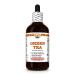 Green Tea (Camellia Sinensis) Dry Leaf Tincture, Made in Hawaii, All Natural, Vegan, Pure Liquid Extract - 4 fl.oz 4 Fl Oz (Pack of 1)