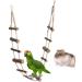 Handmade Bird Toys - 12-Step Wooden Climbing Ladder & Swing for Parrots & Nymphensittiche | Durable & Fun - Buy Online on GoSupps.com