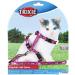 Trixie 4144 Kitten Harness with Leash - Adjustable Nylon 21-33 cm Assorted Colors - Comfortable & Safe Pet Gear - Buy Online on GoSupps.com