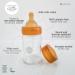 HEVEA Wide Neck Glass Baby Bottle 2-Pack, Plastic-Free, BPA and Phthalates-Free (150ml / 5oz) - Buy Online on GoSupps.com