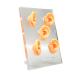Ear Displays Mould Clear Details Complete Tools Ear Model Soft Tenacious for ENT Hospitals