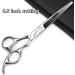 Professional 6/6.5 Inch Hair Scissors Set - Hairdressing & Thinning Shears (2 Pieces) | International Shipping - Buy Online on GoSupps.com