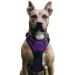 No pull dog harness adjustable breathable reflectively soft padded dog dishes breast dishes for dogs (purple XL) XL Lila