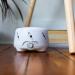 Yogasleep Dohm UNO White Noise Machine - Real Fan Inside, Non-Looping Sound for Travel, Office, Privacy, Sleep Therapy - Adults & Babies 101-Night Trial - Buy Online on GoSupps.com