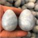 JUKUCKV Natural Calcite Dragon Egg Quartz Crystal - Blue Healing Stone - Spiritual Support - Random 1pc - Buy Online on GoSupps.com