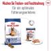 Royal Canin Maxi Ageing | 12 x 410 g | Complete Food for Large Older and Senior Dogs (26 to 44 kg) | Nutrient-Rich and Balanced Wet Food from Five Years Old - Buy Online on GoSupps.com