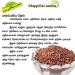 nalAmudhu Bridegroom Rice Flakes | Brown Rice Poha | Mapillai Samba Aval -330g - Buy Online on GoSupps.com