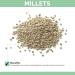 Cockatiel Specific Premium Mix Bird Seed Natural & Healthy Gourmet Choice 1.6KG In 2.4L Resealable Tub - Buy Online on GoSupps.com