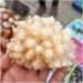Beautiful Natural Stone Calcite Crystal Flow Raw Quartz Point Selenite Rough Crystal Cluster Calcspar Minerals Crystal - Buy Online on GoSupps.com