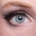 Buy Matlens EOS Gray Colored Contact Lenses - Circle Lenses with Strength | 2 Lenses Container & Care Product 50ml - International Shipping Available - Buy Online on GoSupps.com