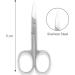 SS INSTRUMENTX Nail Scissors - Professional Curved Blade for Men and Women - Multi-Purpose Manicure Tool for Cuticle and Thick Toenails - Buy Online on GoSupps.com
