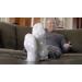 Leader Diabetic Ankle Socks - White Large (1 Pair) | Comfort & Support for Diabetes - Buy Online on GoSupps.com