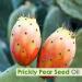 Salvia Prickly Pear Seed (Opuntia) Undiluted Uncut Carrier Oil -100ml Pricky Pear Seed 100 ml (Pack of 1) - Buy Online on GoSupps.com