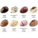 Lauensteiner - Baguette de P ques Jumbo - 8 ufs de P ques au chocolat avec alcool dans diff rentes saveurs - 155 g - 8 couleurs assorties - Cadeau de P ques pour hommes ou femmes - Buy Online on GoSupps.com