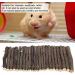 FDIT Wooden Bridge for Small Animals Arch Ladder for Hamsters Guinea Pigs Chinchillas & Ferrets - Perfect Cage Decoration - Buy Online on GoSupps.com