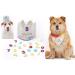 Dog Birthday Party Set - 6-Piece Happy Bday Celebration Pack with Toys, Crown, Party Hat, and Bandana (Large) - Buy Online on GoSupps.com