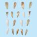 Buy Long Almond Stiletto Press-On Nails | Gold Rhinestone & Glitter Designs - Chrome Fake Nails for Women - Buy Online on GoSupps.com