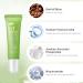Green Tea Matcha Eye Cream - Refresh & Hydrate Under Eye Treatment for Puffiness Dark Circles & Wrinkles | 15g - Buy Online on GoSupps.com