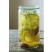 Buy Japanese Water Kefir Grains - Live Probiotics for Kombucha | 50g Crystals - Fast International Shipping - Buy Online on GoSupps.com