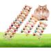 Shop Hanging Wooden Ladder for Hamsters & Birds | Pet Suspension Bridge & Cage Toy (S) - International Shipping Available - Buy Online on GoSupps.com