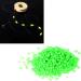 Hilai Bait Rigs - Glow in the Dark Fishing Beads | Luminous Float Fishing Lures | International Shipping Available - Buy Online on GoSupps.com