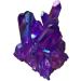 Natural Quartz Crystal Cluster Titanium Bismuth Electroplated Purple Stone Specimen Home Decor Gifts Stone Mineral Specimen (Color : 40g) - Buy Online on GoSupps.com