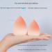 Durratou 'S Claw Shell Beauty Makeup Egg Gradient Color Makeup Egg Foundation Concealer Makeup Blender Cosmetic Puff - Buy Online on GoSupps.com