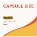 Nutrapeak Boswellia Extract Capsules | Joint Support | 4-Month Supply | 65% Boswellic Acids | Non-GMO, Gluten-Free, Vegan | 120 Capsules - Buy Online on GoSupps.com