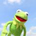 Akls Frog Plush Hand Puppet - Sesame Kermit The Frog Soft Toy - Educational Toy 16CM Green - Buy Online on GoSupps.com