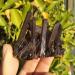 Crystal Rough 90-100g Natural Beautiful Black Quartz Crystal Cluster Tibetan Specimen - Buy Online on GoSupps.com