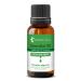 Peppermint Essential Oil Pure and Natural 10ml 10 ml (Pack of 1)